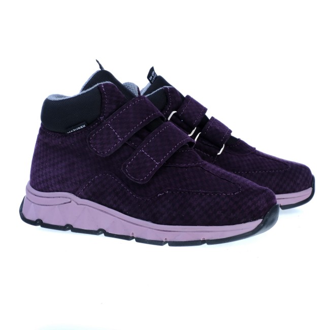 1366 VIOLET (CRUZ 19-40).JPG