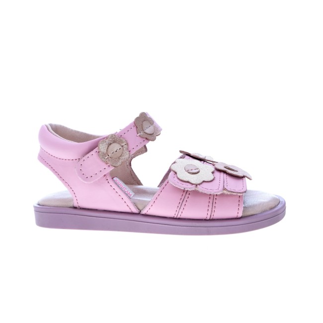 1365 PINK (HERA 24-36).JPG