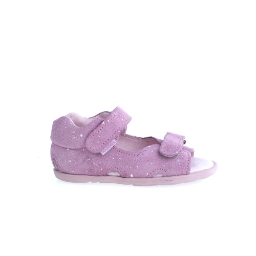 1363 ROSE DOTS (BFSEULR 19-38).jpeg