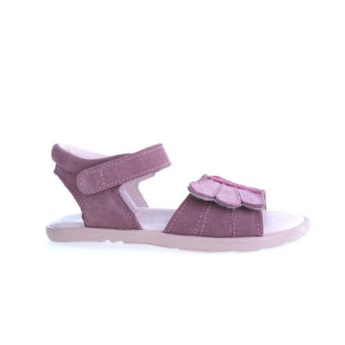 1365 DUSTY ROSE DOTS (BFSEULR 19-38).jpeg
